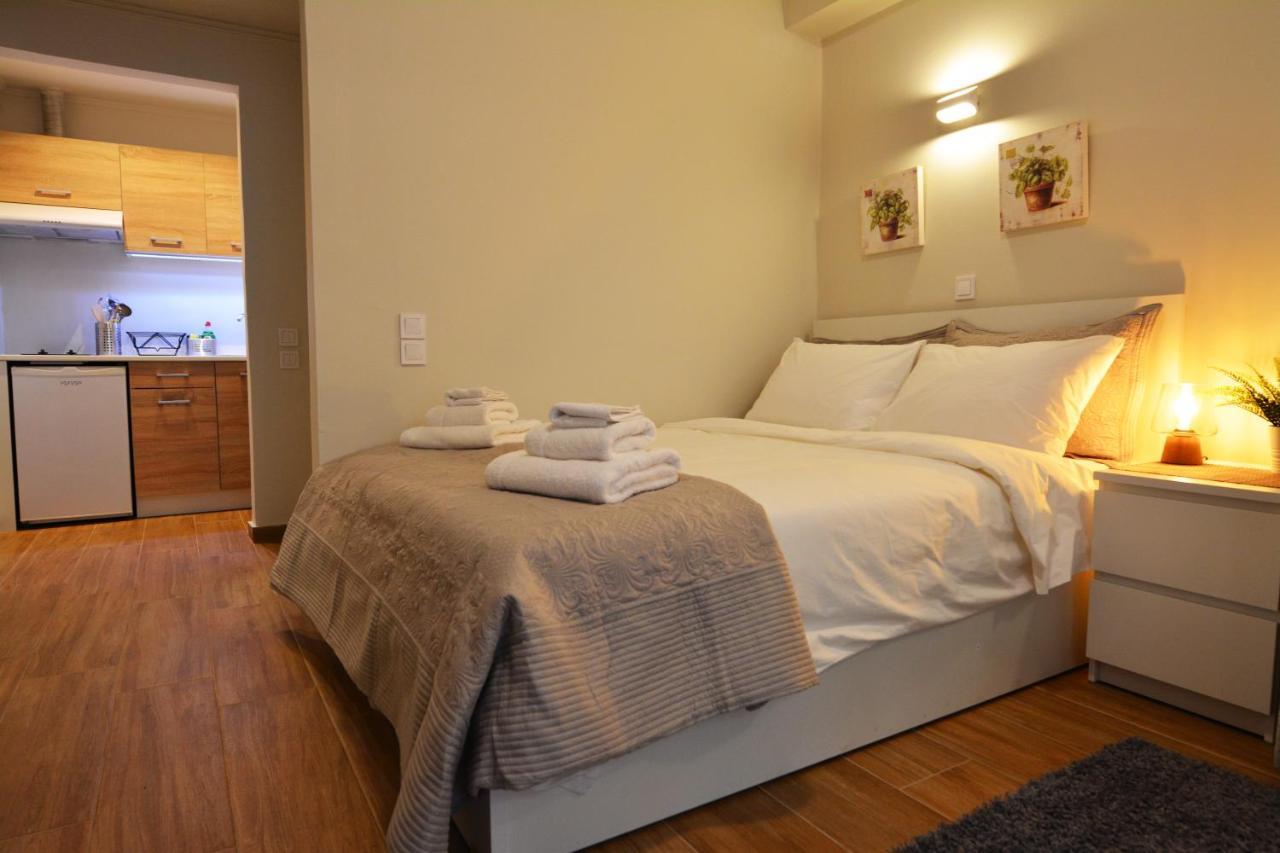 Posh With Garden In Kolonaki Apartment Athens
